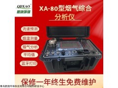 XA-80型烟气综合分析仪
