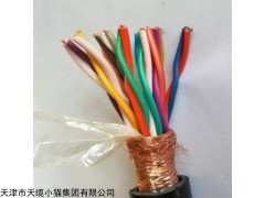 河北ZR-DJYPVRP阻燃屏蔽型计算机电缆