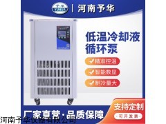 DLSB-5L/-10℃ 低温冷却液循环泵 恒温槽数显制冷机