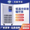 DLSB-10L/-10℃ 低温冷却液循环泵 恒温槽数显制冷机