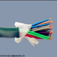 小猫线缆PUYV-10*2*0.5-电源矿用电缆