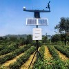 NL-GPRS-I无线农业气象综合监测站 农林气象站