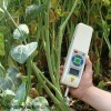 YYD-1B植物抗倒伏测定仪 玉米高粱倒伏检测仪