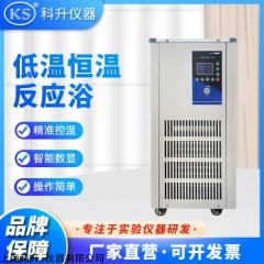 DFY-5L/-10℃ 低温冷却反应浴槽