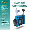 HW2101 WBGT热指数仪