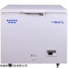 DW-60W238 -60℃低温保存箱