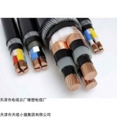 供应YJV22铠装电力电缆ZR-YJV22天津橡塑电缆