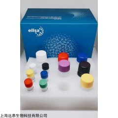 人血管生成素1(ANG-1)ELISA试剂盒
