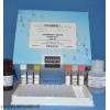 胞漿異檸檬酸脫氫酶(ICDHc)活性檢測試劑盒   紫外分光光度法