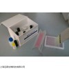 胞漿異檸檬酸脫氫酶(ICDHc)活性檢測試劑盒   微量法