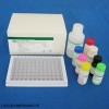 硫氧还蛋白还原酶(TrxR)检测试剂盒 可见分光光度法