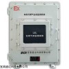 SD-R20-EX 红外可燃气体LEL浓度监测仪