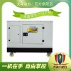 玉溪大泽动力TO42000ET 电动 50L 40000w