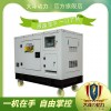 宣威大泽动力TO22000ET 电动 50L 20000w