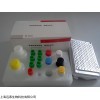 人整合素αⅤβ3(Integrin αⅤβ3)ELISA试剂盒