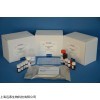 人叉头框蛋白04(FoxO4)ELISA试剂盒