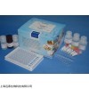 人游離脂肪酸(FFA)ELISA試劑盒
