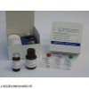 人肌球蛋白(Myosin)ELISA試劑盒