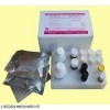 人食欲素受體(OXR)ELISA試劑盒