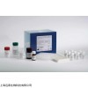 人甲胺喋呤(MTX)ELISA試劑盒