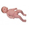 zk34239 高级出生婴儿附脐带模型