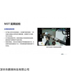 DJI Mavic 3T 大疆M3T配网电网巡查案例