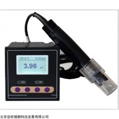 DP28400 工业在线PH/ORP检测仪