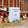 OSEN-OU 大型养猪场恶臭气体在线监测 畜牧业养殖气味污染测定仪