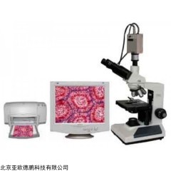 DP09415 生物显微镜
