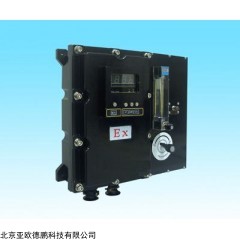 DP09643 在线微量氧分析仪