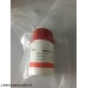 48t/96t 人内皮抑素(ES)ELISA试剂盒