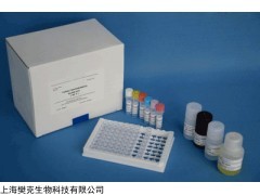 48t/96t 人CXC趋化因子受体3(CXCR3)ELISA试剂盒