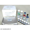 大鼠基质金属蛋白酶8,大鼠ELISA(试剂盒)