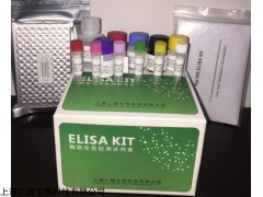 人可溶性CD276分子ELISA检测试剂盒检测原理
