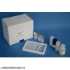 48t/96t 流感病毒抗体IgG(FLU)ELISA试剂盒