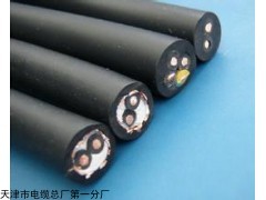 天津天联天津生产:MKVV22MHYA22铠装电缆