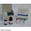 48t/96t 人chemerin检测试剂盒使用说明