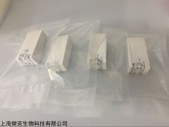 48t/96t 人系统性红斑狼疮(SLE)ELISA试剂盒