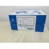 乙酰辅酶A测试盒-10
