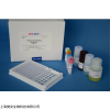 48T/96T 小鼠17羟皮质类固醇(17OHCS)ELISA试剂盒