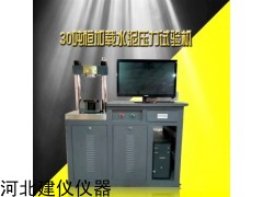 BC-300D 全自动电脑恒应力压力试验机