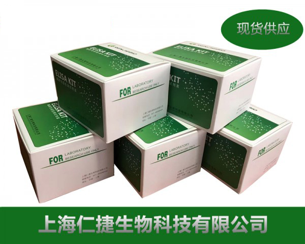 牛乳酸ELISA检测试剂盒仅供科研