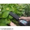 植物葉面積測定儀LAM-G農作物面積儀