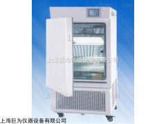 JW-YP-500 上海稳定性试验箱