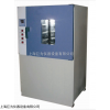 JW-100-A 上海 橡膠熱老化試驗箱
