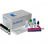48t/96t 小鼠白介素2(IL-2)ELISA試劑盒說明書