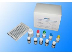 48T/96t 小鼠基质金属蛋白酶7(MMP-7)ELISA试剂盒