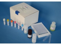 48T/96t 小鼠基质金属蛋白酶10(MMP10)ELISA试剂盒