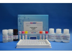 48T/96t 小鼠免疫球蛋白A(IgA)ELISA试剂盒操作步骤
