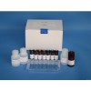 48T/96t 小鼠白介素1(IL-1)ELISA试剂盒操作流程